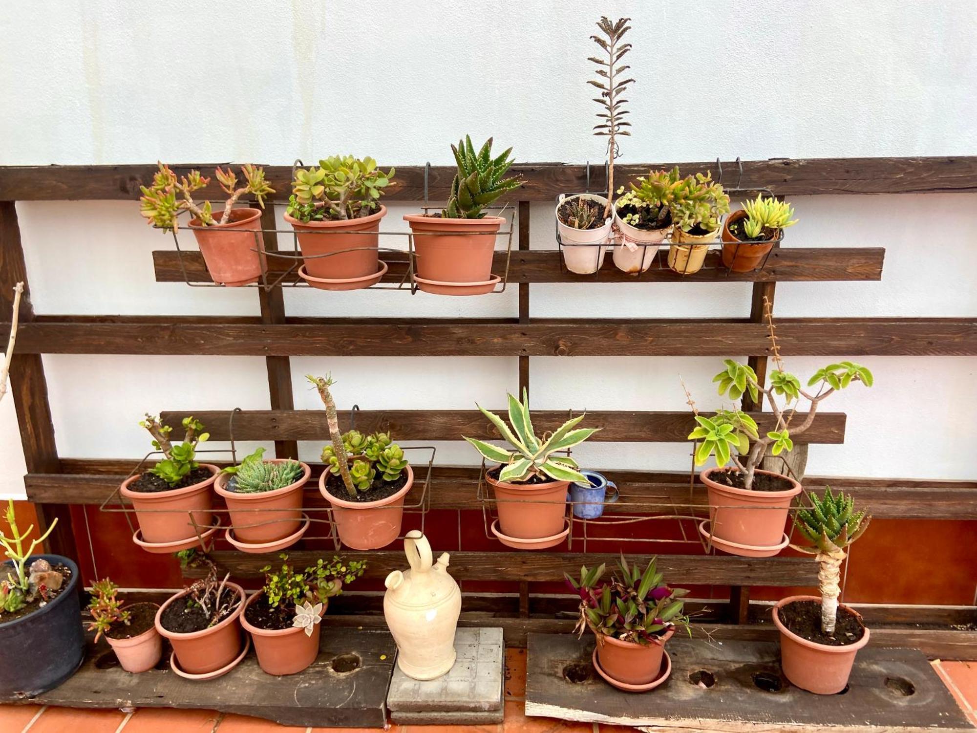 Apartamentos Los Verodes Frontera Buitenkant foto