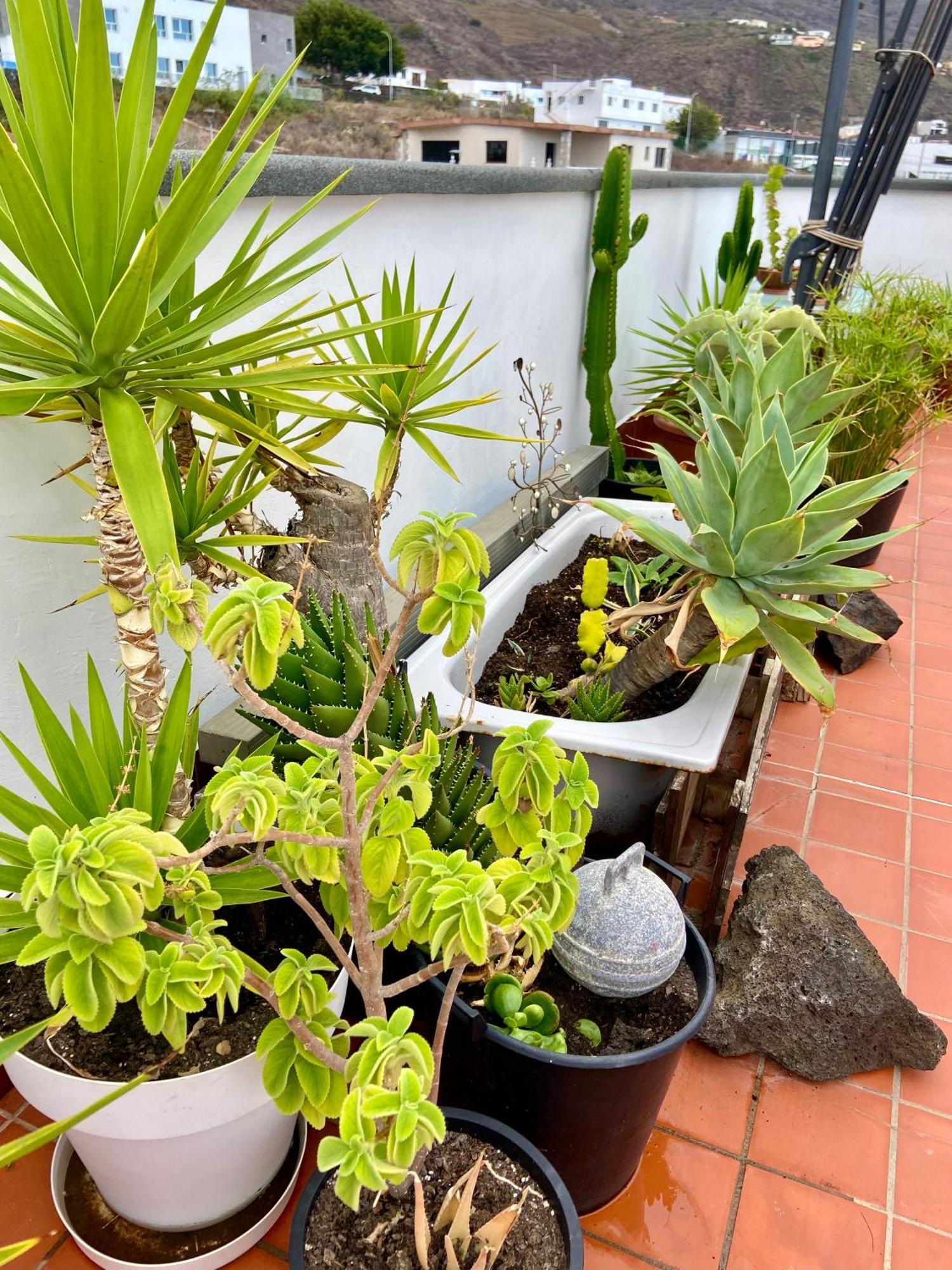 Apartamentos Los Verodes Frontera Buitenkant foto
